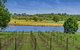 Narangba Motel (formerly Brisbane North B&B And Winery) - thumb 3