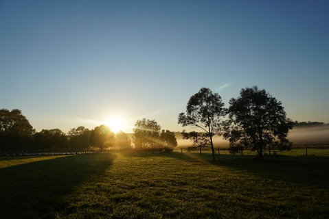 Narangba Motel (formerly Brisbane North B&B And Winery) - Accommodation Cooktown 2