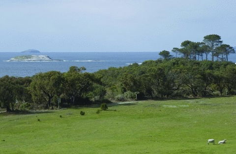 Cosy Corner Sea View Apartments - Accommodation Cooktown 7