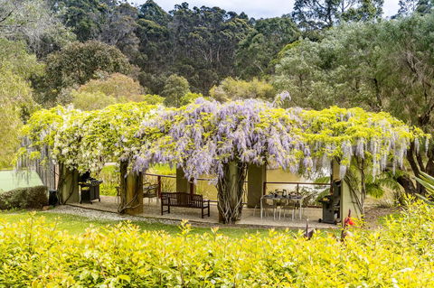 Grand Mercure Basildene Manor - Accommodation Cooktown 7