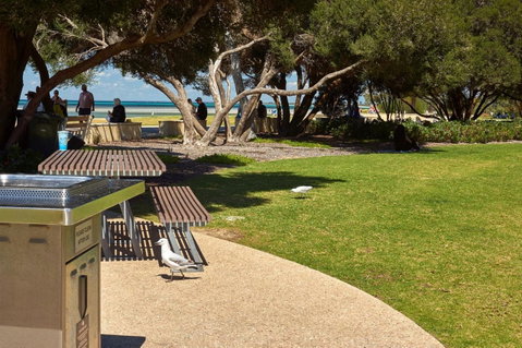 The Urban Beach House - Accommodation Cooktown 21