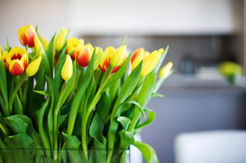 Claremont Quarter Luxury Apartment - Accommodation Cooktown 11