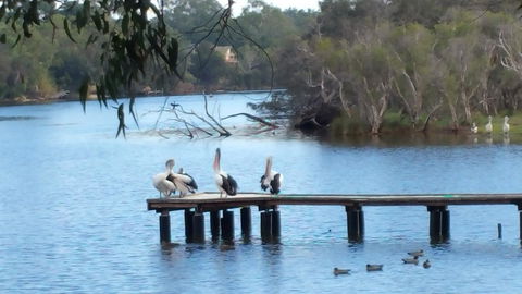 Jacaranda Hideaway Bed & Breakfast - Accommodation Cooktown 18