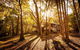 Riverglen Chalets - thumb 0