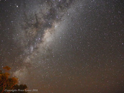 Riverside Retreat Chalets, Walpole - Accommodation Cooktown 26