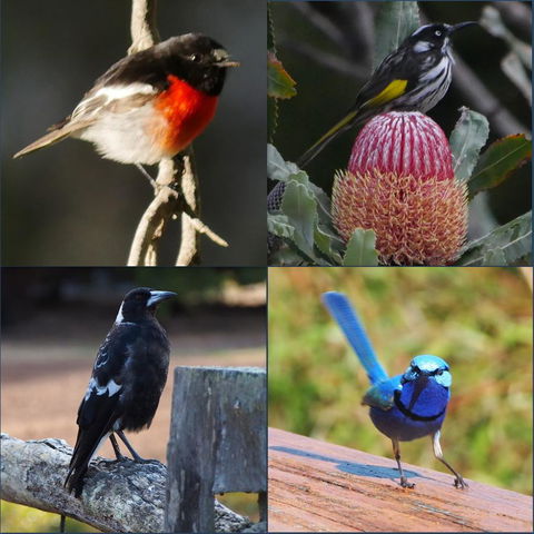 Riverside Retreat Chalets, Walpole - Accommodation Cooktown 23