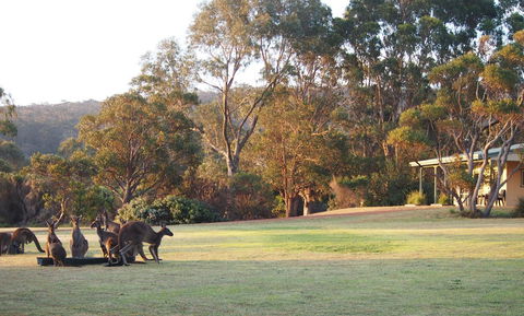 Riverside Retreat Chalets, Walpole - Accommodation Cooktown 0