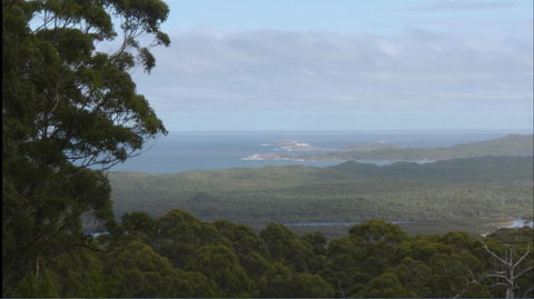Riverside Retreat Chalets, Walpole - Accommodation Cooktown 30