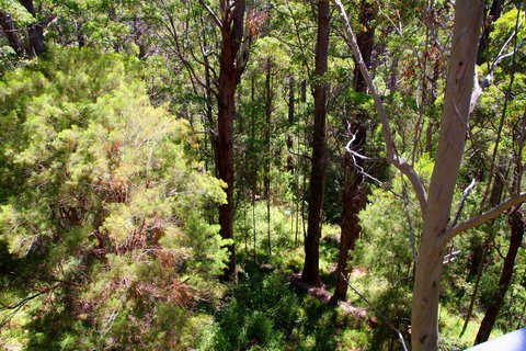 Bayside Villas - Accommodation Cooktown 5