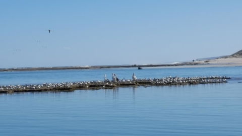 Kalbarri Seaview Villas - Accommodation Cooktown 33