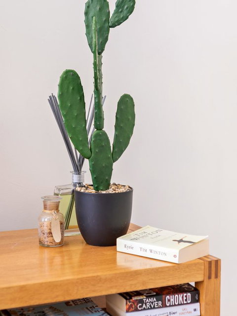 Cooper Street - Accommodation Cooktown 23