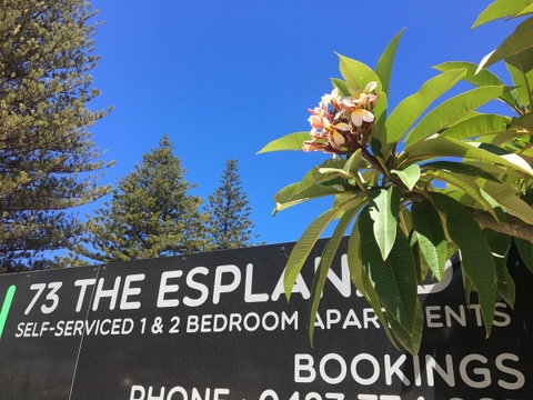 Esperance Central Accommodation - Accommodation Cooktown 2