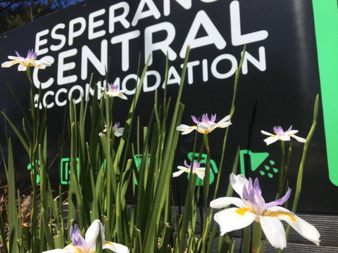 Esperance Central Accommodation - Accommodation Cooktown 0