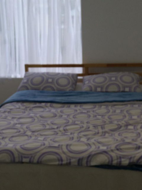 DIANELLA Budget Rooms Happy Place To Stay - Accommodation Cooktown 24