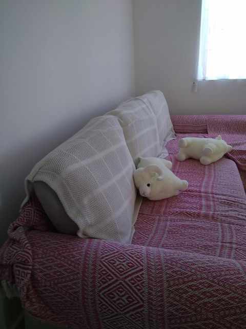 DIANELLA Budget Rooms Happy Place To Stay - Accommodation Cooktown 29