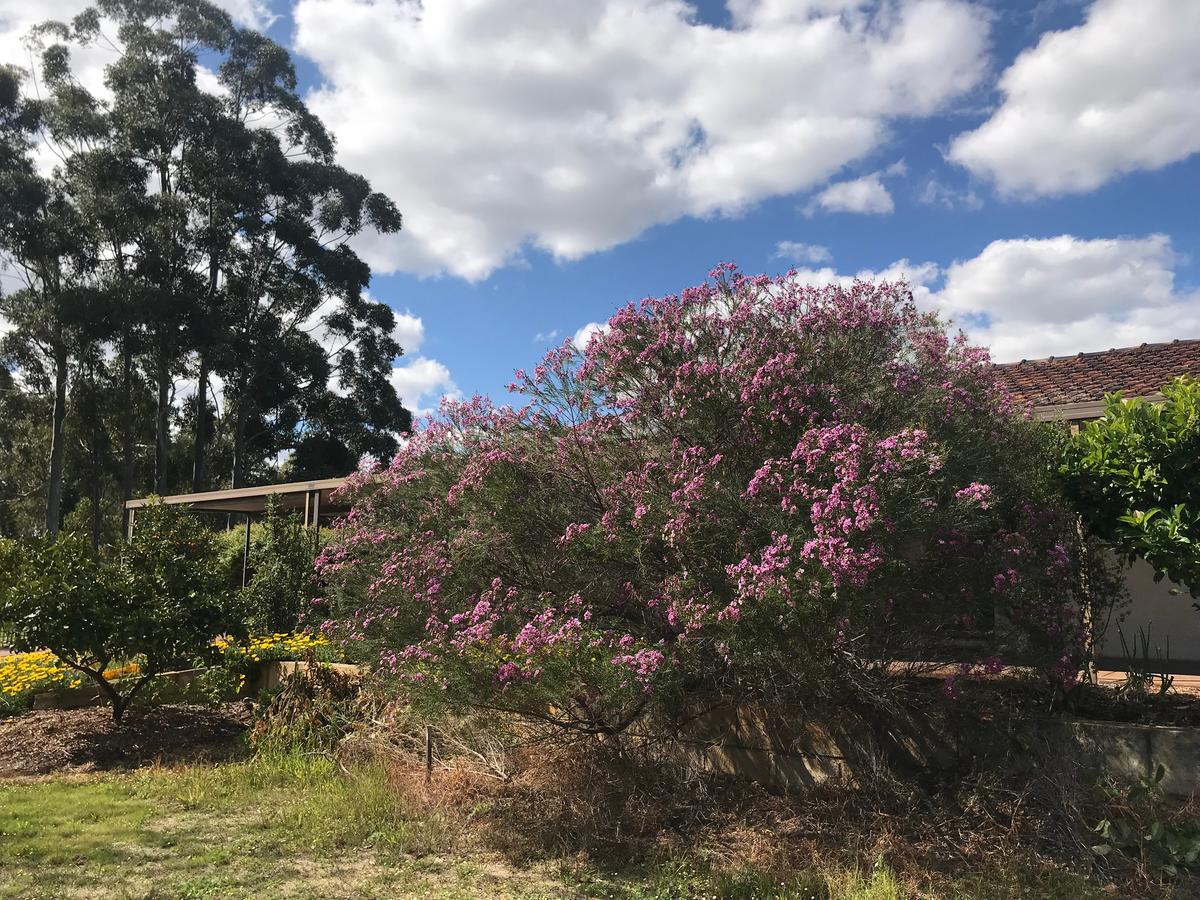  Accommodation Cooktown