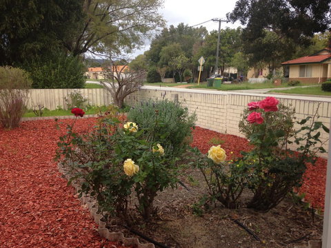 â˜… Stylish Family Home! â˜… - Accommodation Cooktown 1