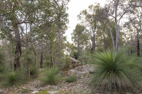 A Hidden Bush Delight - Accommodation Cooktown 23
