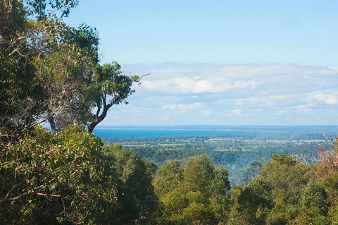 A Hidden Bush Delight - Accommodation Cooktown 31