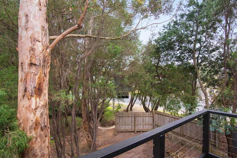 Margarets Forest - Accommodation Cooktown 12