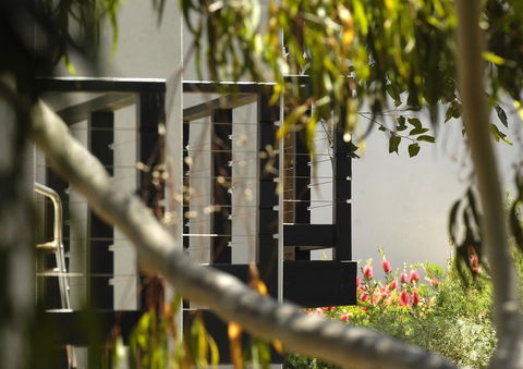 Margarets Forest - Accommodation Cooktown 42