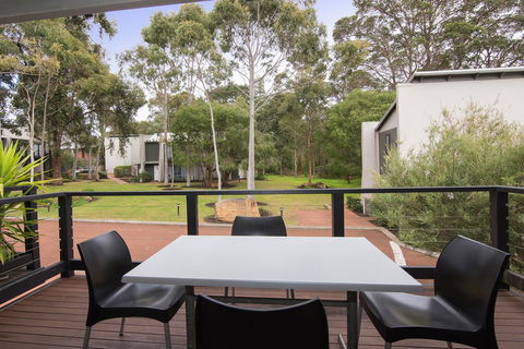 Margarets Forest - Accommodation Cooktown 39