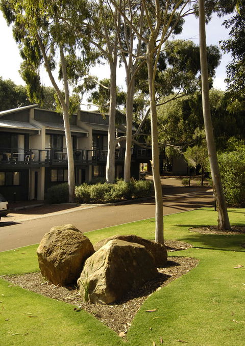 Margarets Forest - Accommodation Cooktown 34