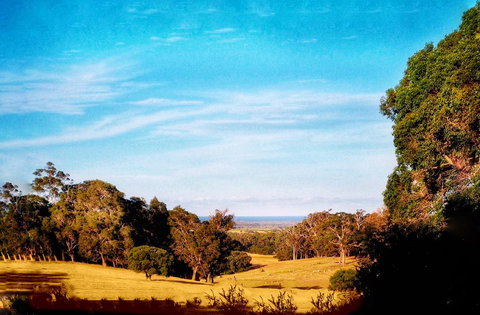 For The Birds Yallingup - Accommodation Cooktown 27