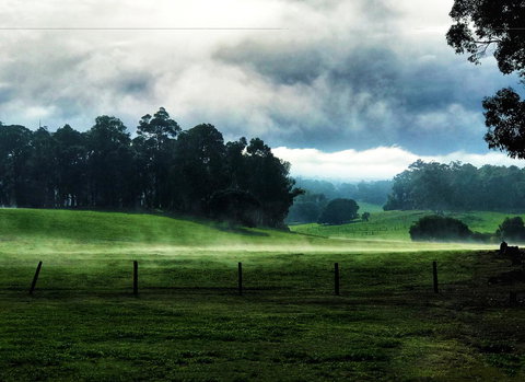 For The Birds Yallingup - Accommodation Cooktown 25