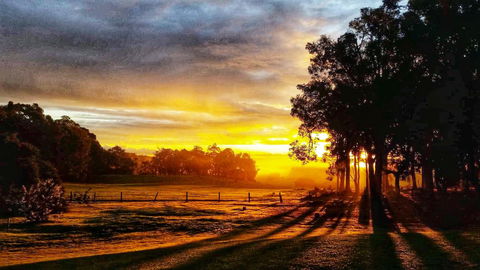 For The Birds Yallingup - Accommodation Cooktown 26