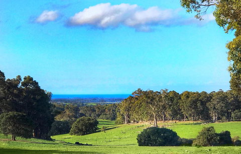 For The Birds Yallingup - Accommodation Cooktown 2