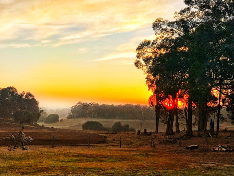 For The Birds Yallingup - Accommodation Cooktown 24