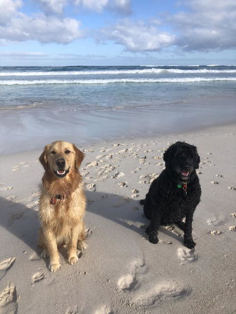 The Bothy Lancelin Family Retreat - Accommodation Cooktown 32