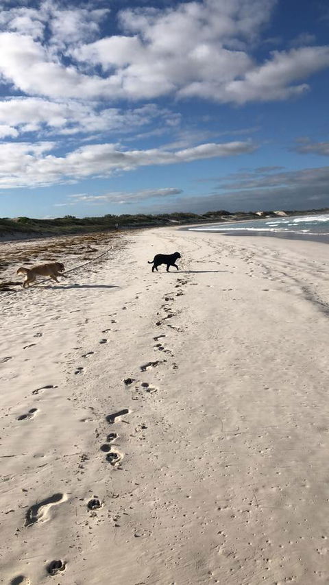 The Bothy Lancelin Family Retreat - Accommodation Cooktown 30