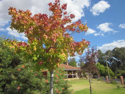 Bridgetown Valley Lodge - Accommodation Cooktown 40