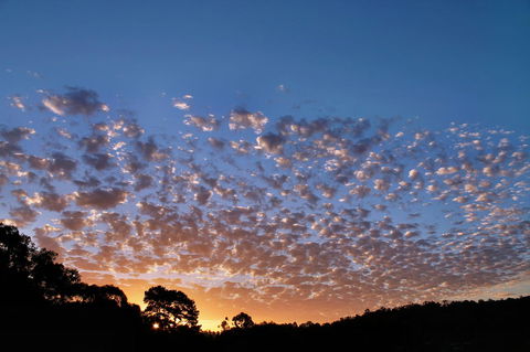 Bridgetown Valley Lodge - Accommodation Cooktown 6