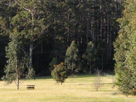 Big Brook Retreat - Accommodation Cooktown 5