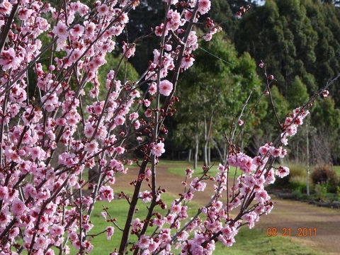Big Brook Retreat - Accommodation Cooktown 9
