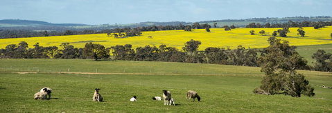 Kendenup Cottages And Lodge - Accommodation Cooktown 44