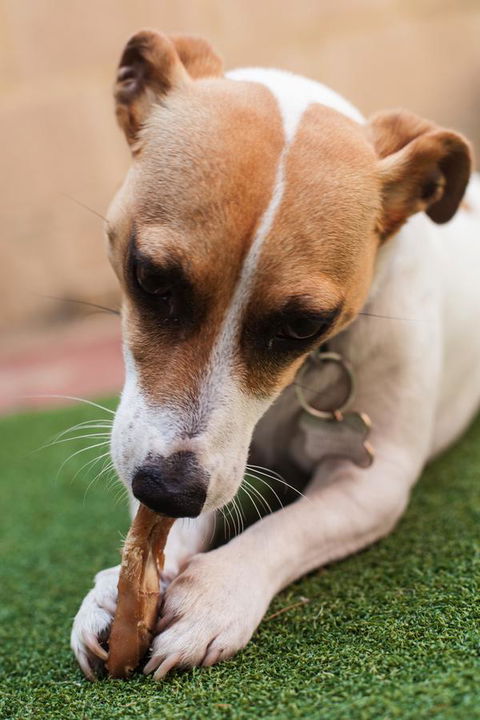 Banksia Tourist Park - Accommodation Cooktown 18