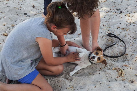 Banksia Tourist Park - Accommodation Cooktown 27