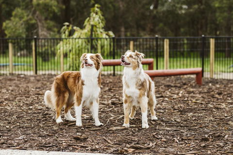 Banksia Tourist Park - Accommodation Cooktown 16