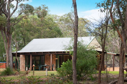 Yelverton Brook Conservation Sanctuary - Accommodation Cooktown 31