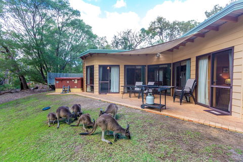 Yelverton Brook Conservation Sanctuary - Accommodation Cooktown 18