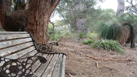 Yelverton Brook Conservation Sanctuary - Accommodation Cooktown 42
