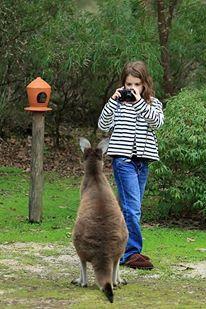 Yelverton Brook Conservation Sanctuary - Accommodation Cooktown 39