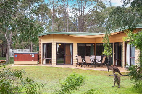 Yelverton Brook Conservation Sanctuary - Accommodation Cooktown 20