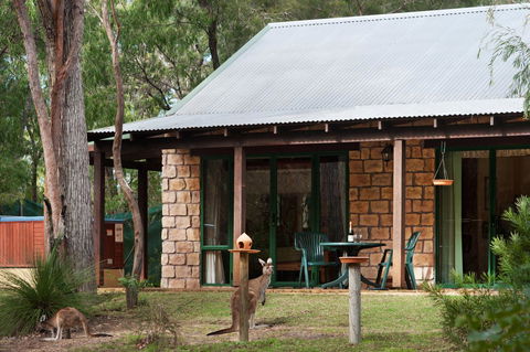 Yelverton Brook Conservation Sanctuary - Accommodation Cooktown 36