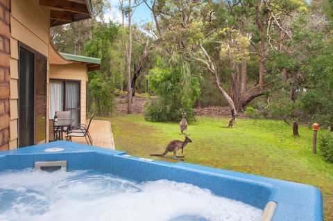 Yelverton Brook Conservation Sanctuary - Accommodation Cooktown 9