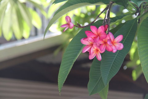 Beach House On Fox - Accommodation Cooktown 15